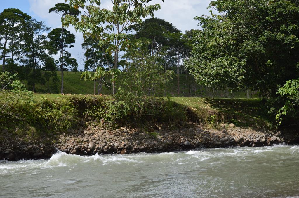 Islas Del Rio Hostel Tirimbina Zewnętrze zdjęcie