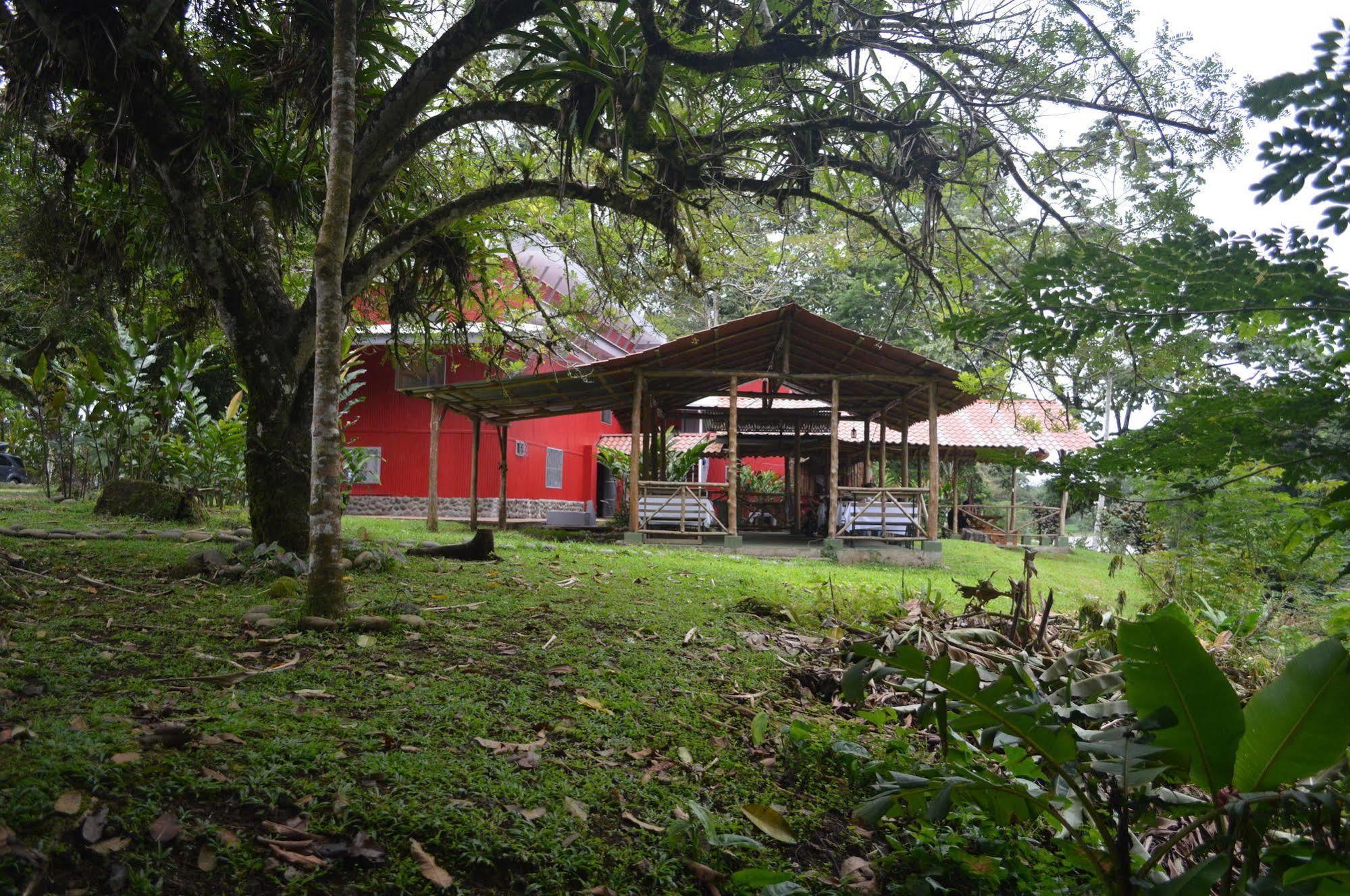 Islas Del Rio Hostel Tirimbina Zewnętrze zdjęcie