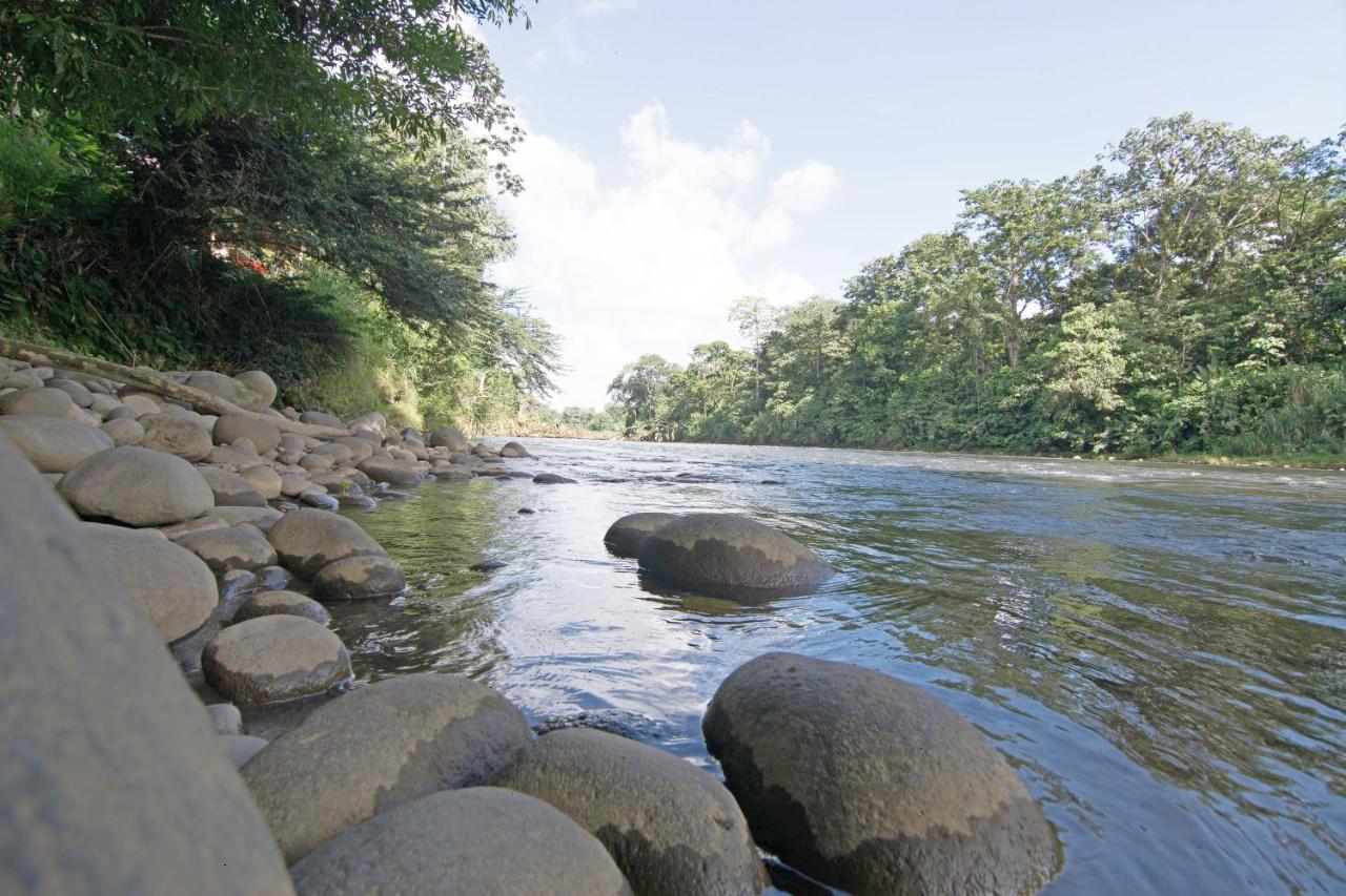Islas Del Rio Hostel Tirimbina Zewnętrze zdjęcie