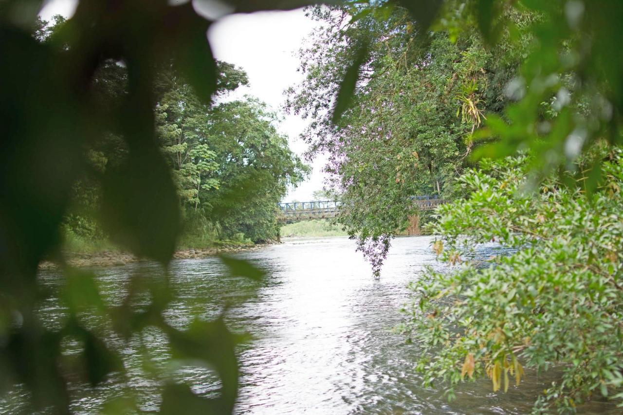 Islas Del Rio Hostel Tirimbina Zewnętrze zdjęcie